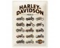 Metalowy Plakat 30x40 Harley-Davidson Chart