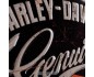 Metalowy Plakat 30x40cm Harley-Davidson G Harley-Davidson Garage