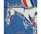 Metalowy Plakat 20x30 Ford Mustang Parking Only