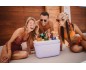 Lodówka Polarbox Gold 12L - Zielono Czarna Kompaktowa Świeżość w Stylu Retro