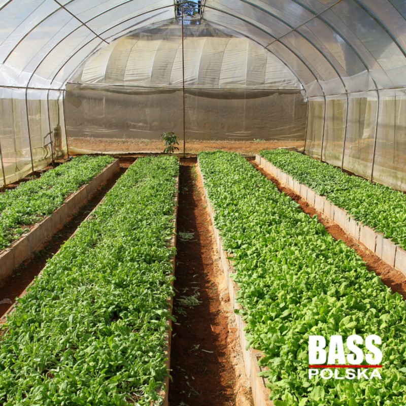 Bass Polska Tunel ogrodowy foliowy 300 x 200 x 200 cm w kolorze szarym UV 12 85900