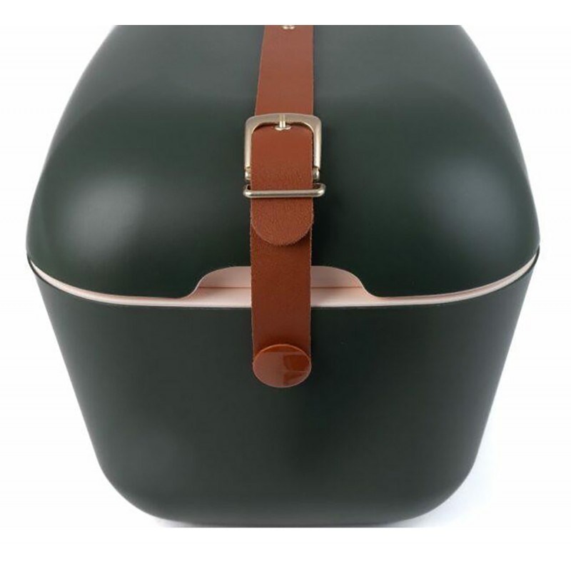 Lodówka turystyczna 20L Polarbox 9413 Green Forest Gold